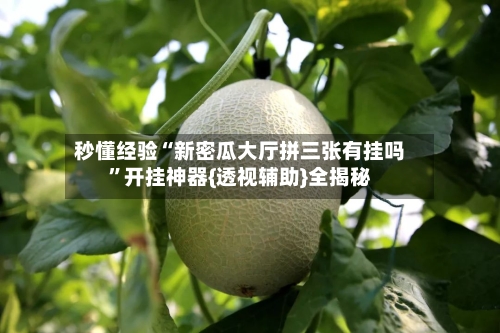 秒懂经验“新密瓜大厅拼三张有挂吗	”开挂神器{透视辅助}全揭秘-第1张图片