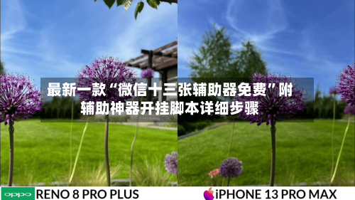 最新一款“微信十三张辅助器免费”附辅助神器开挂脚本详细步骤-第1张图片
