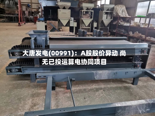 大唐发电(00991):A股股价异动 尚无已投运算电协同项目-第1张图片