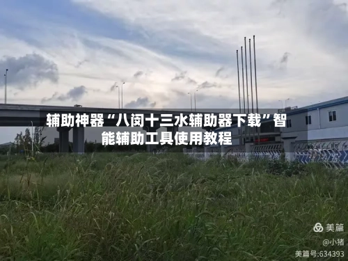 辅助神器“八闵十三水辅助器下载	”智能辅助工具使用教程-第1张图片