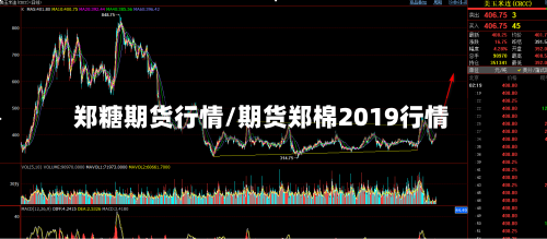 郑糖期货行情/期货郑棉2019行情-第1张图片