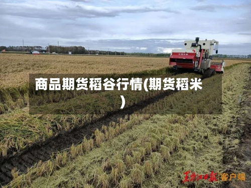 商品期货稻谷行情(期货稻米)-第1张图片