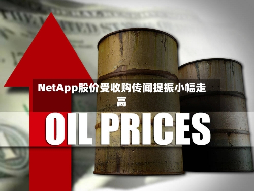 NetApp股价受收购传闻提振小幅走高-第1张图片
