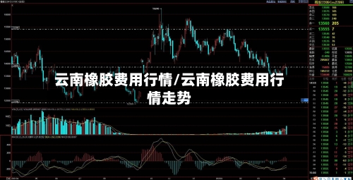 云南橡胶费用行情/云南橡胶费用行情走势-第1张图片