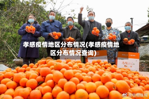 孝感疫情地区分布情况(孝感疫情地区分布情况查询)-第1张图片