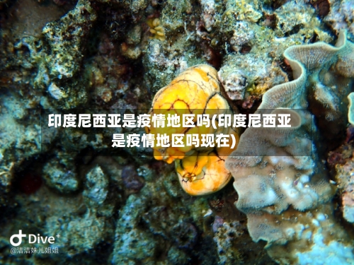 印度尼西亚是疫情地区吗(印度尼西亚是疫情地区吗现在)-第1张图片