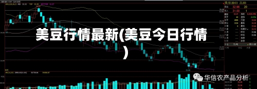 美豆行情最新(美豆今日行情)-第1张图片