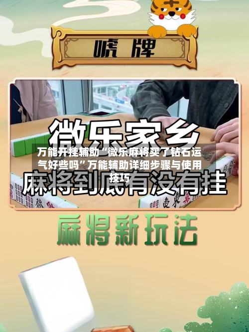 万能开挂辅助“微乐麻将买了钻石运气好些吗”万能辅助详细步骤与使用技巧-第1张图片
