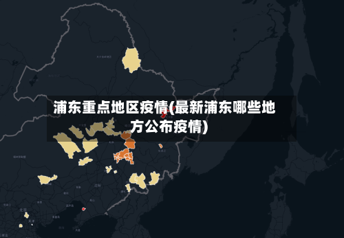 浦东重点地区疫情(最新浦东哪些地方公布疫情)-第1张图片