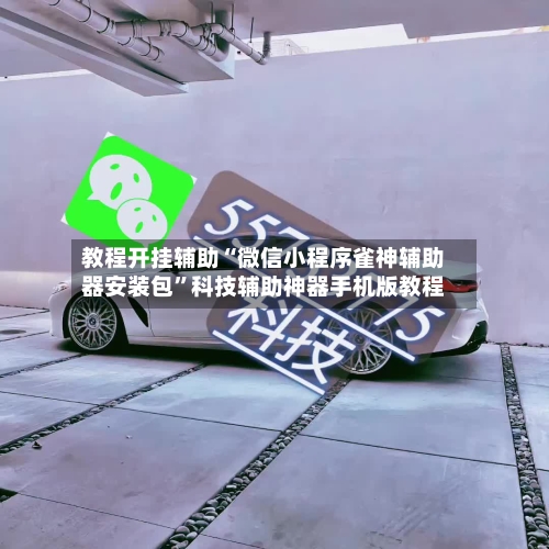 教程开挂辅助“微信小程序雀神辅助器安装包”科技辅助神器手机版教程-第1张图片