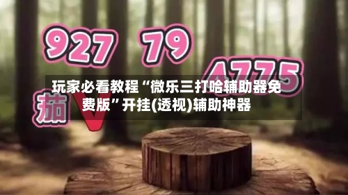 玩家必看教程“微乐三打哈辅助器免费版	”开挂(透视)辅助神器-第1张图片