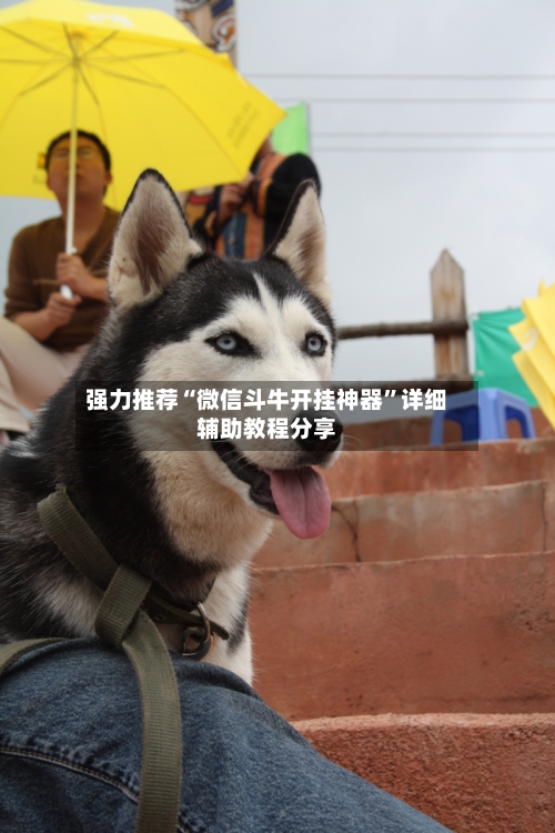 强力推荐“微信斗牛开挂神器	”详细辅助教程分享-第1张图片