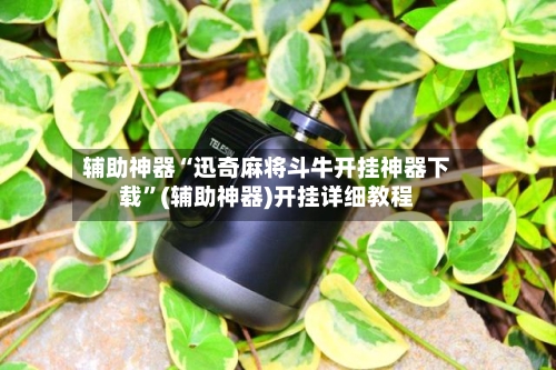 辅助神器“迅奇麻将斗牛开挂神器下载”(辅助神器)开挂详细教程-第1张图片