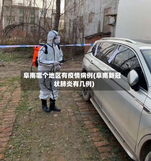 阜南哪个地区有疫情病例(阜南新冠状肺炎有几例)-第1张图片
