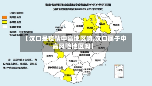 【汉口是疫情中高地区嘛,汉口属于中高风险地区吗】-第1张图片