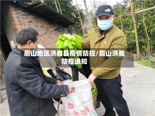眉山地区洪雅县疫情防控/眉山洪雅防疫通知-第1张图片