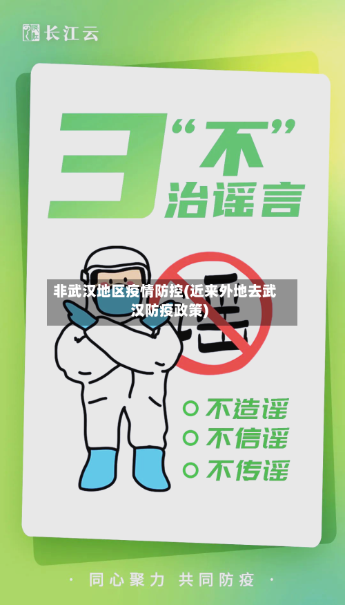 非武汉地区疫情防控(近来外地去武汉防疫政策)-第1张图片