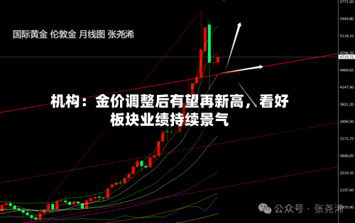 机构：金价调整后有望再新高	，看好板块业绩持续景气-第1张图片