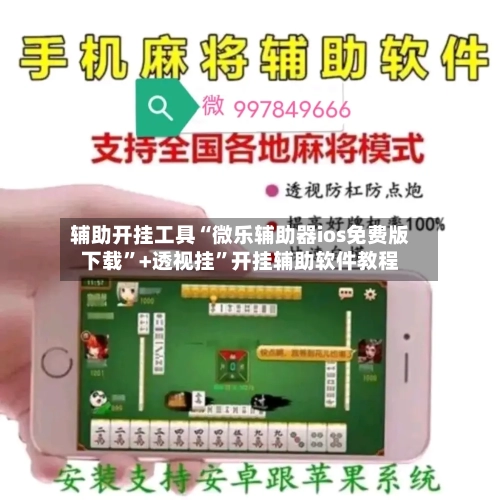 辅助开挂工具“微乐辅助器ios免费版下载”+透视挂”开挂辅助软件教程-第1张图片