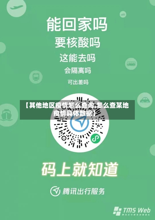 【其他地区疫情怎么查询,怎么查某地疫情具体数据】-第1张图片