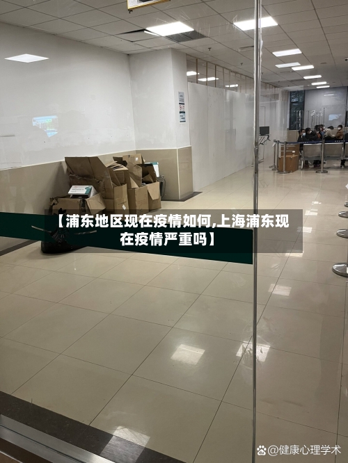 【浦东地区现在疫情如何,上海浦东现在疫情严重吗】-第1张图片