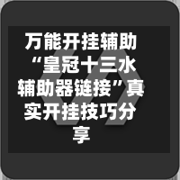 万能开挂辅助“皇冠十三水辅助器链接”真实开挂技巧分享-第1张图片
