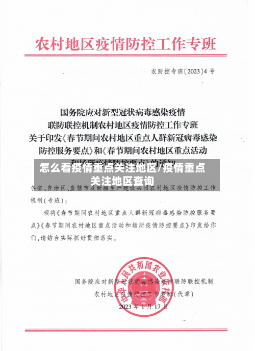 怎么看疫情重点关注地区/疫情重点关注地区查询-第1张图片