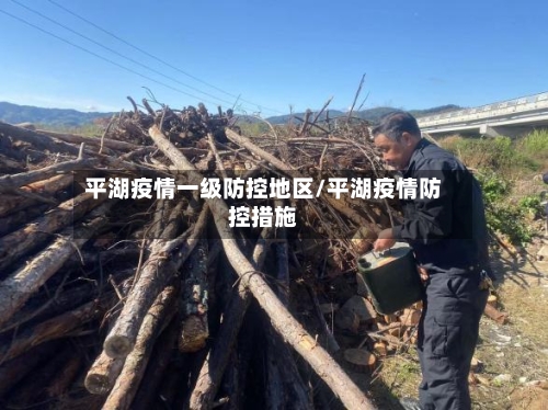 平湖疫情一级防控地区/平湖疫情防控措施-第1张图片