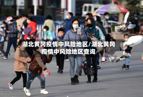 湖北黄冈疫情中风险地区/湖北黄冈疫情中风险地区查询-第1张图片