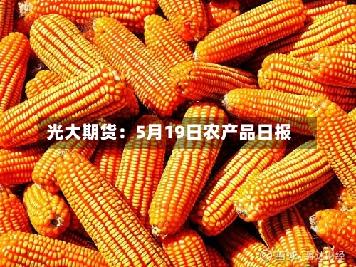 光大期货：5月19日农产品日报-第1张图片