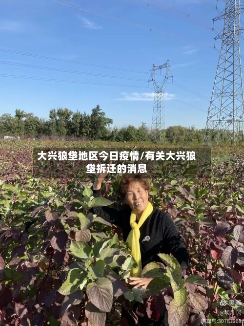 大兴狼垡地区今日疫情/有关大兴狼垡拆迁的消息-第1张图片