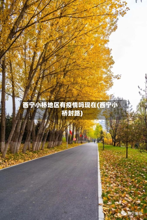 西宁小桥地区有疫情吗现在(西宁小桥封路)-第1张图片