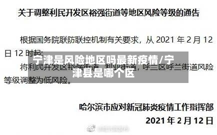 宁津是风险地区吗最新疫情/宁津县是哪个区-第1张图片