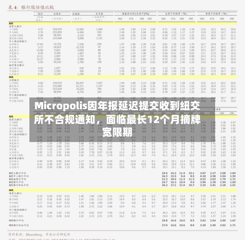 Micropolis因年报延迟提交收到纽交所不合规通知	，面临最长12个月摘牌宽限期-第1张图片