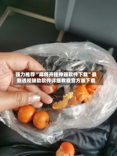 强力推荐“麻将开挂神器软件下载	”最新透视辅助软件详细教程官方版下载-第1张图片
