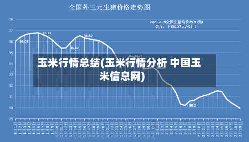 玉米行情总结(玉米行情分析 中国玉米信息网)-第1张图片
