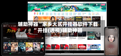 辅助神器“家乡大贰开挂器软件下载	”开挂(透视)辅助神器-第1张图片