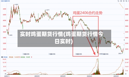 实时鸡蛋期货行情(鸡蛋期货行情今日实时)-第1张图片