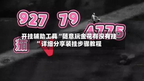 开挂辅助工具“随意玩金花有没有挂”详细分享装挂步骤教程-第1张图片
