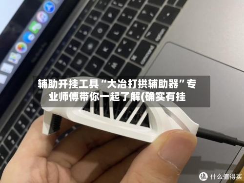 辅助开挂工具“大冶打拱辅助器”专业师傅带你一起了解(确实有挂-第1张图片