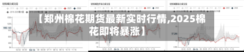 【郑州棉花期货最新实时行情,2025棉花即将暴涨】-第1张图片