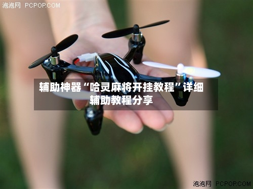 辅助神器“哈灵麻将开挂教程	”详细辅助教程分享-第1张图片