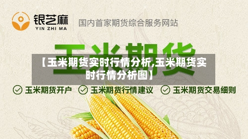 【玉米期货实时行情分析,玉米期货实时行情分析图】-第1张图片