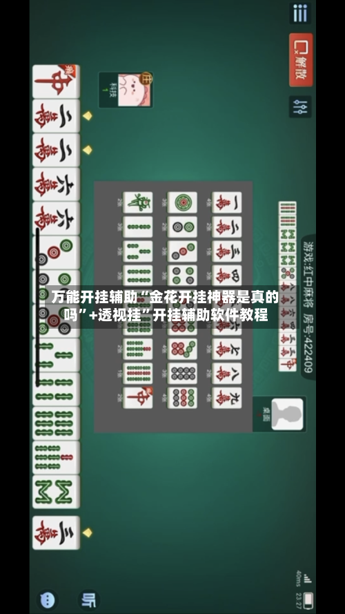 万能开挂辅助“金花开挂神器是真的吗”+透视挂	”开挂辅助软件教程-第1张图片