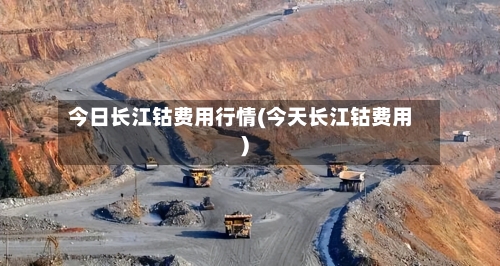 今日长江钴费用行情(今天长江钴费用)-第1张图片