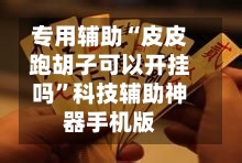 专用辅助“皮皮跑胡子可以开挂吗”科技辅助神器手机版-第1张图片