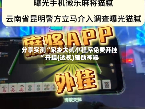 分享实测“家乡大贰小程序免费开挂”开挂(透视)辅助神器-第1张图片
