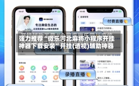 强力推荐“微乐河北麻将小程序开挂神器下载安装”开挂(透视)辅助神器-第1张图片