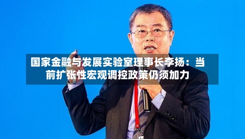 国家金融与发展实验室理事长李扬:当前扩张性宏观调控政策仍须加力-第1张图片