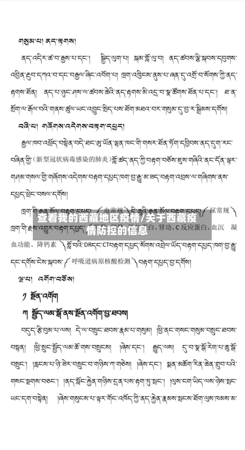 查看我的西藏地区疫情/关于西藏疫情防控的信息-第1张图片